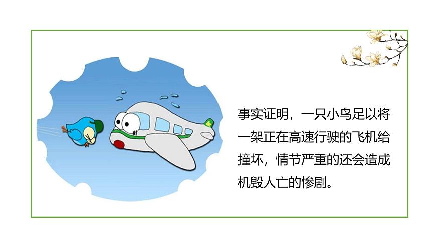 【川教版】《生命 生態(tài) 安全》一年級上冊第6課 危險的碰撞 課件第8頁