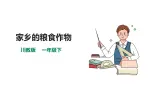 【川教版】生命·生態·安全 一年级下册第15课《家乡的粮食作物》課件