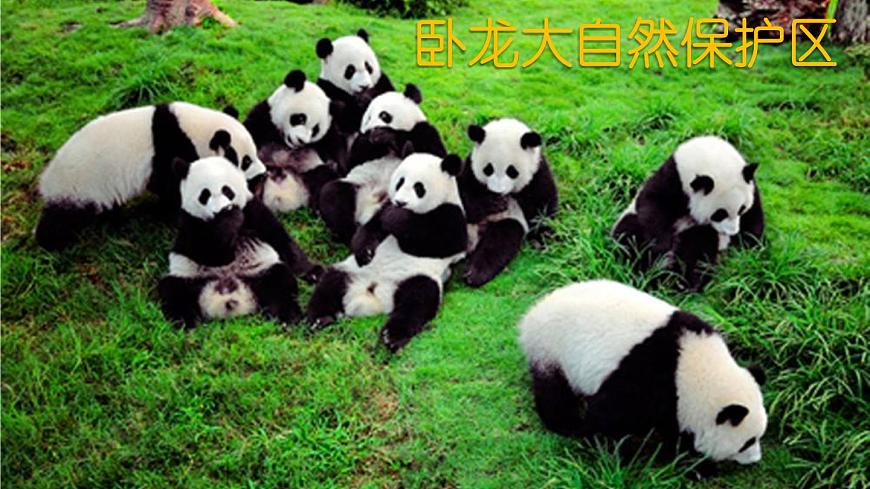 新川教版信息技術(shù)三上：1.1 熊貓歡歡游四川 課件PPT第8頁(yè)