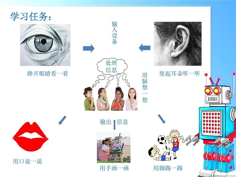 闽教版(2020)信息技术三上 第3课 计算机部件我爱护PPT课件04