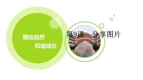 浙摄影版四年级下册第9课 分享图片图片ppt课件