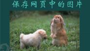 粤教版第二册上册二、保存网页中的图片图片ppt课件