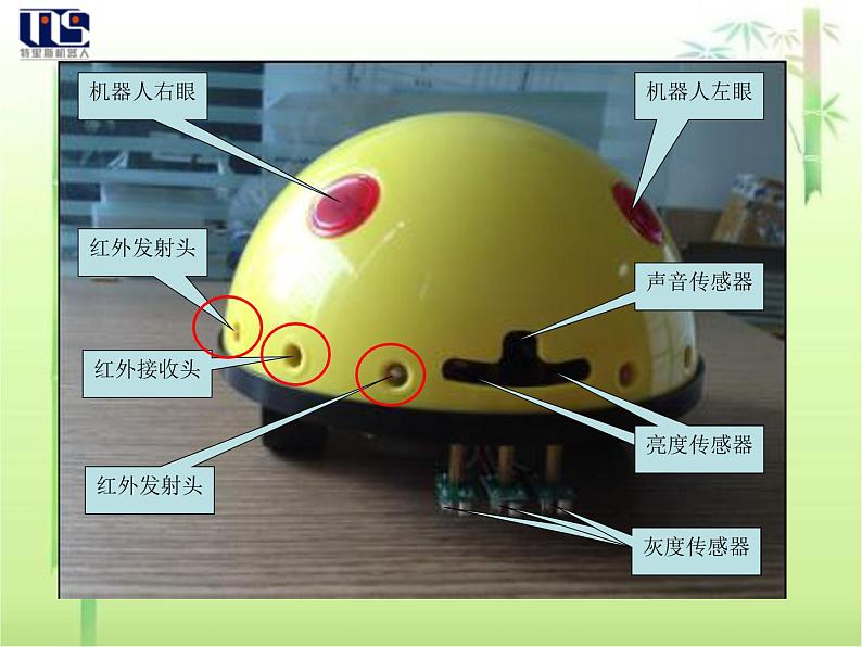 小学六年级下册信息技术-2.11-认识机器人-浙江摄影版-(11张)ppt课件第3页