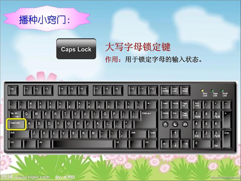 小学三年级下册信息技术-8《大小写字母巧输入》-浙江摄影版(10张)ppt课件(1)03