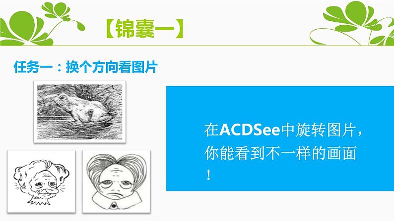 小学五年级上册信息技术-6精彩图片剪辑|浙江摄影版(新)(13张)ppt课件第4页