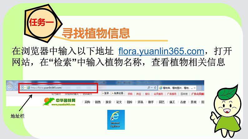小学三年级下册信息技术-14编辑科普短文-浙江摄影版(10张)ppt课件03