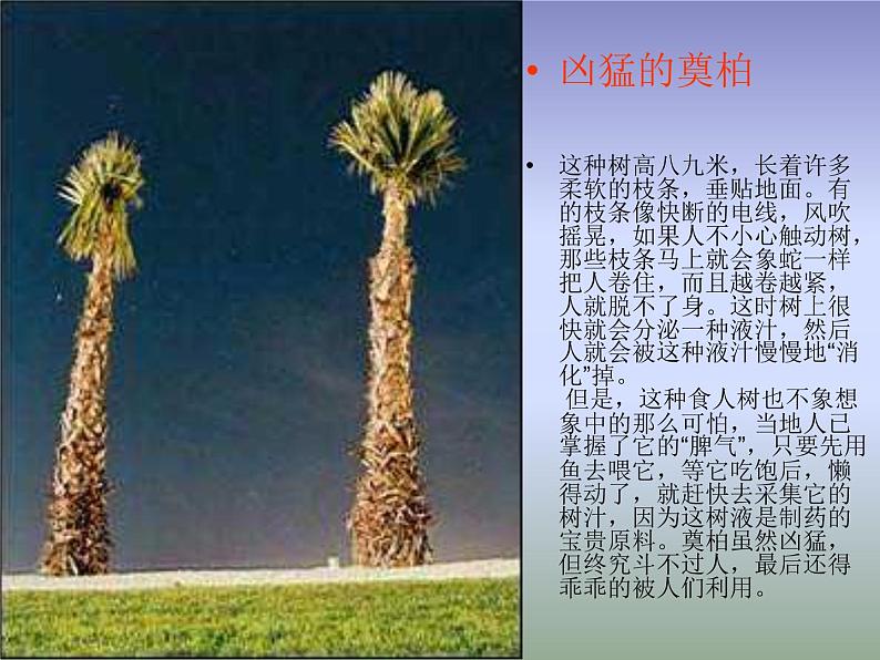 小学三年级下册信息技术-14编辑科普短文-浙江摄影版-(24张)ppt课件第8页