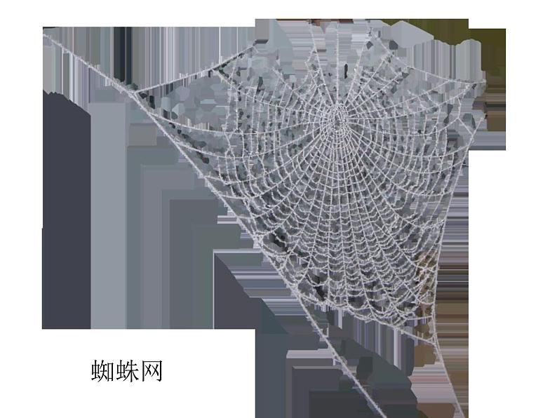 小学四年级下册信息技术-1-生活与网络-浙江摄影版-(15张)ppt课件03