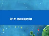 电子工业版 (安徽)三年级下册第7课 蘑菇圆圆把家住集体备课ppt课件