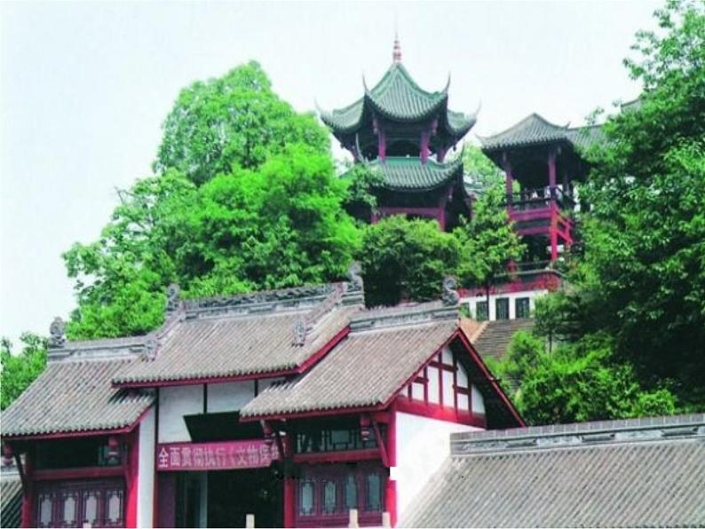 小学四年级上册信息技术-14在文章中插入图片|川教版(19张)ppt课件06