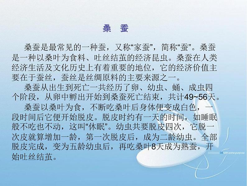 小学四年级上册信息技术-4插入表格|苏科版(新版)(16张)ppt课件第3页