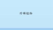 小学信息技术冀教版六年级上册第2课 珍稀植物教案配套ppt课件
