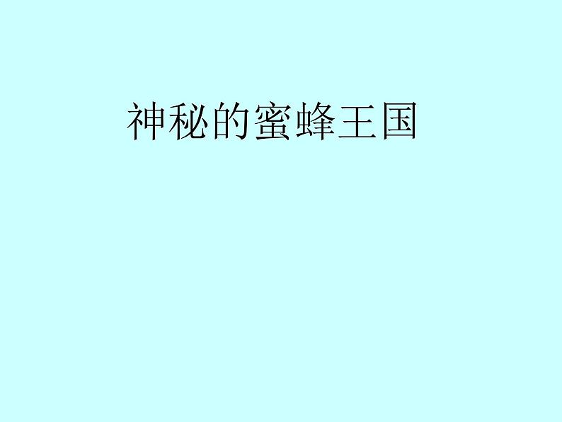 小学四年级下册信息技术-第16课《神秘的蜜蜂王国》-冀教版----(14张)ppt课件01