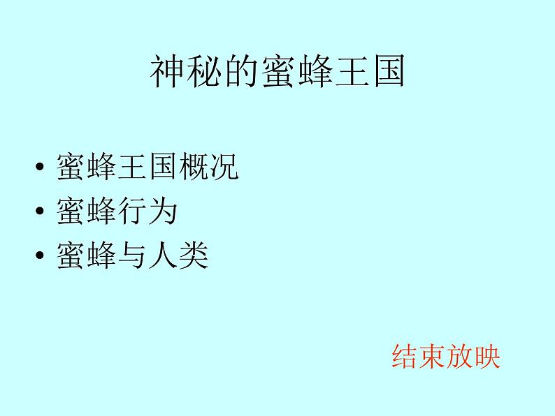 小学四年级下册信息技术-第16课《神秘的蜜蜂王国》-冀教版----(14张)ppt课件02