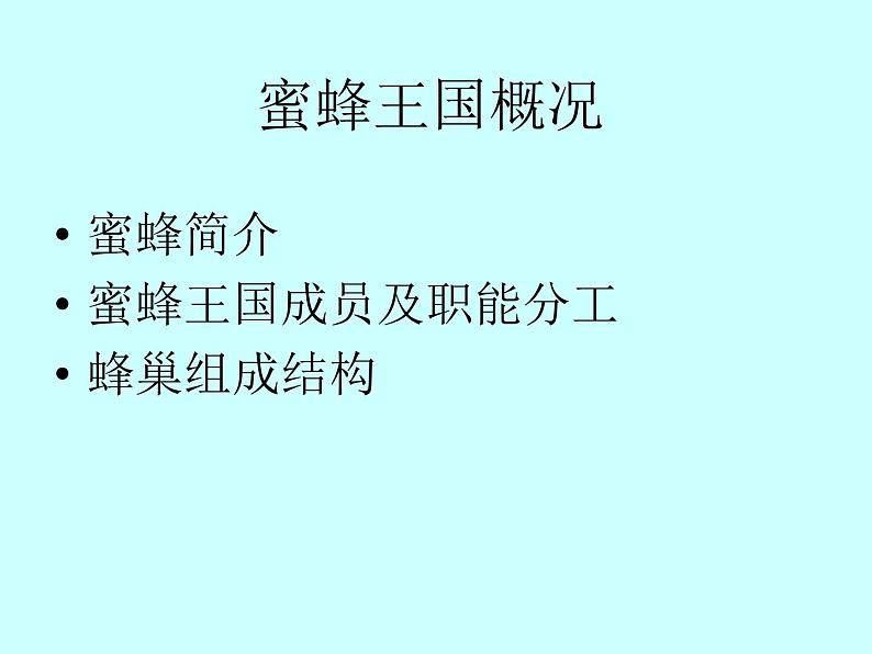 小学四年级下册信息技术-第16课《神秘的蜜蜂王国》-冀教版----(14张)ppt课件03