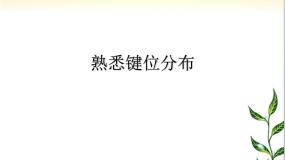 闽教版三年级上册第4课 熟悉键位分布备课课件ppt