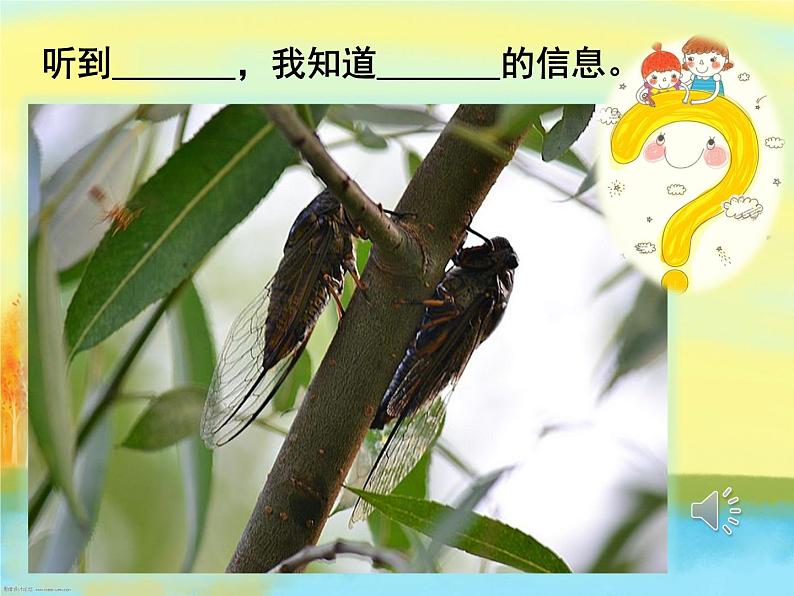 小学信息技术 人教版 第一册 我们身边的信息 任务一 让我们感受身边的信息 课件(无视频素材))07