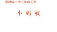 冀教版五年级下册第15课 小蚂蚁课文配套ppt课件