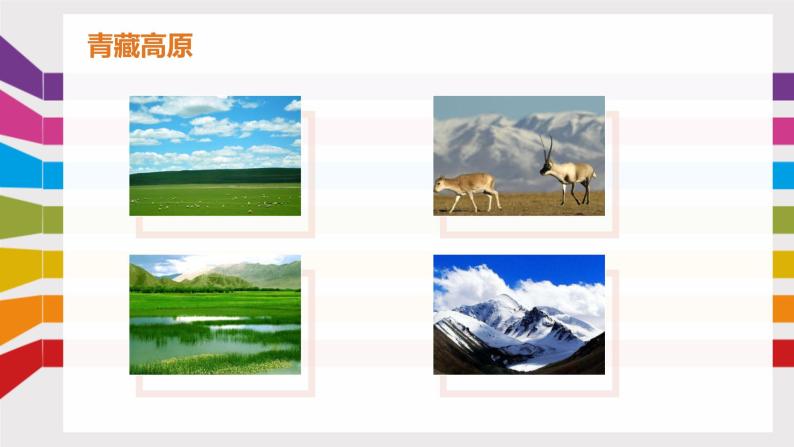 桂教版信息技术五上 1.5 展示青藏铁路风采—添加文本 课件PPT02