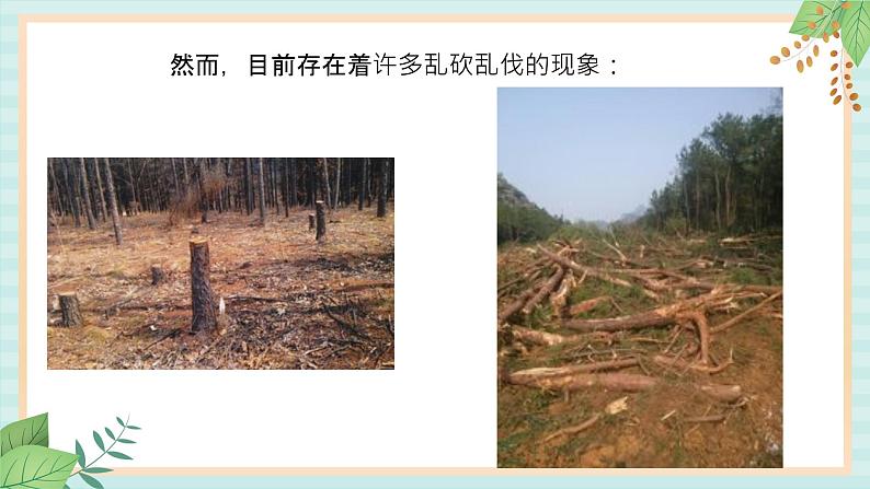 冀教版信息技术六上哭泣的森林 (课件)07