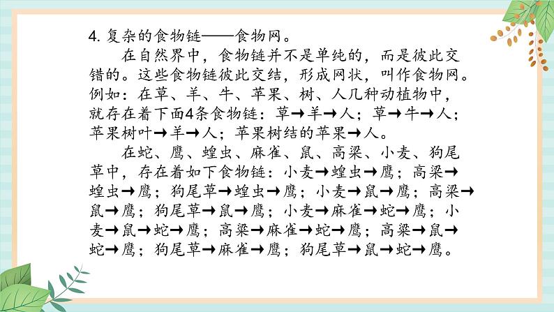 冀教版信息技术六上有趣的食物链 (课件)第6页