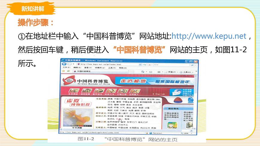 第11課 網(wǎng)上漫游 課件第8頁