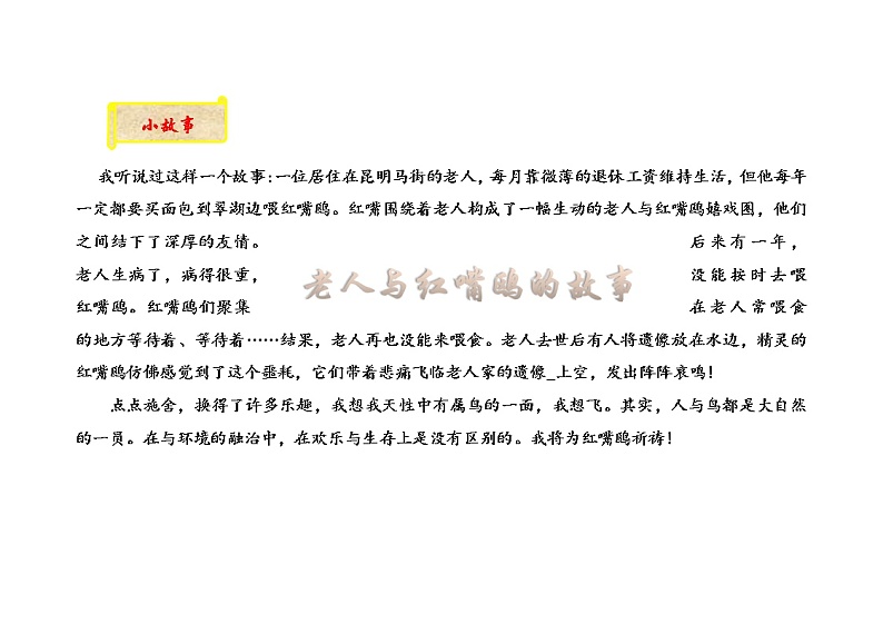 四上教科版信息技术 第7课 老人与红嘴鸥 课件PPT+教案+练习01