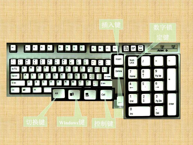 三年级上册信息技术课件-7认认真真学打字 十个手指键盘找家 |人教版 (共22张PPT)第3页