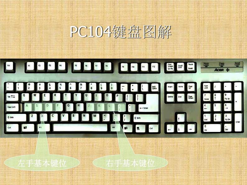 三年级上册信息技术课件-7认认真真学打字 十个手指键盘找家 |人教版 (共22张PPT)第4页