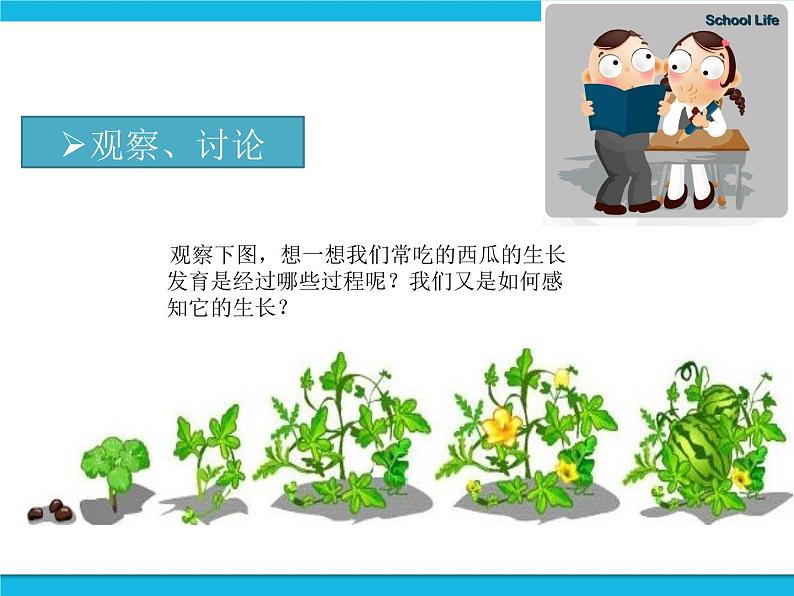 新苏科版信息技术六年级:第13课 感知生长—数字农植 课件PPT第2页