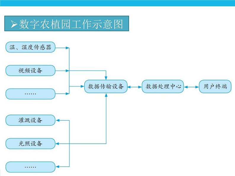 新苏科版信息技术六年级:第13课 感知生长—数字农植 课件PPT第4页