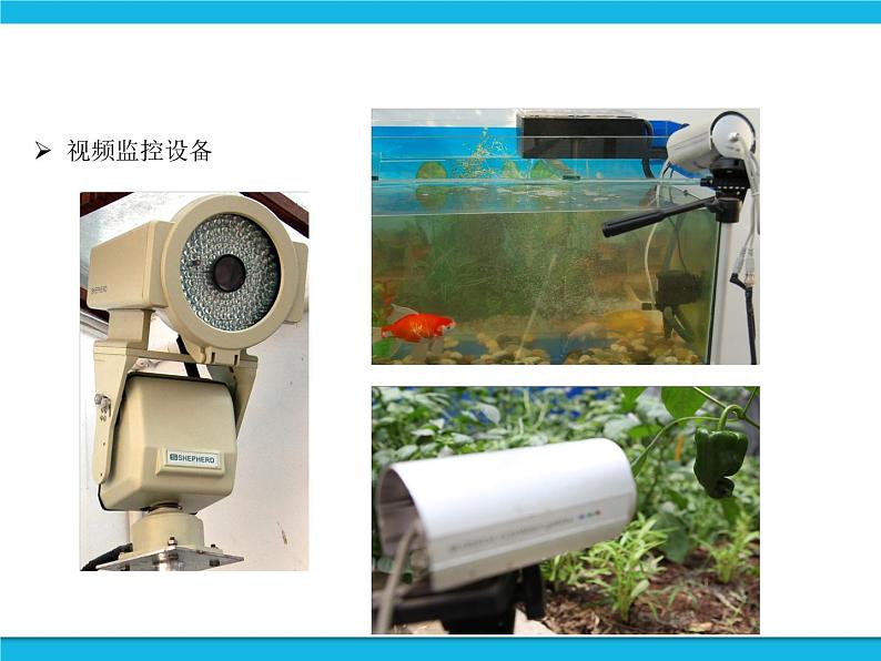 新苏科版信息技术六年级:第13课 感知生长—数字农植 课件PPT第6页