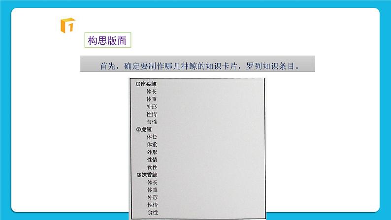 第15课《鲸的知识卡片》课件第4页