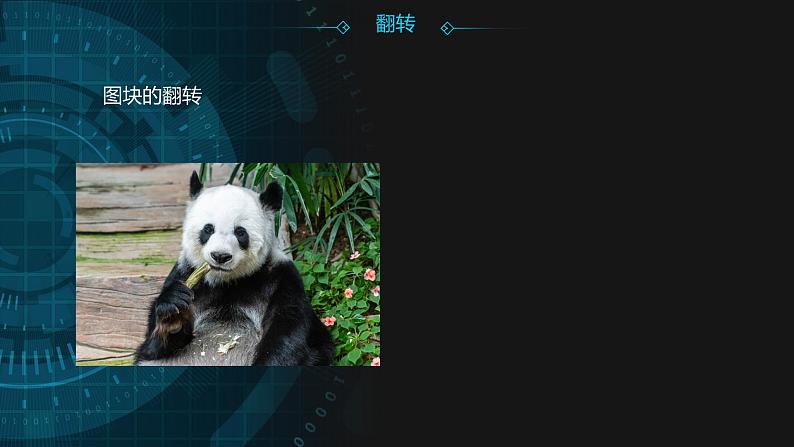 【人教版】五年级上第3课《整理图像小能手》课件第3页