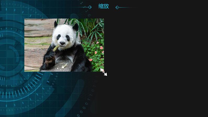 【人教版】五年级上第3课《整理图像小能手》课件第8页