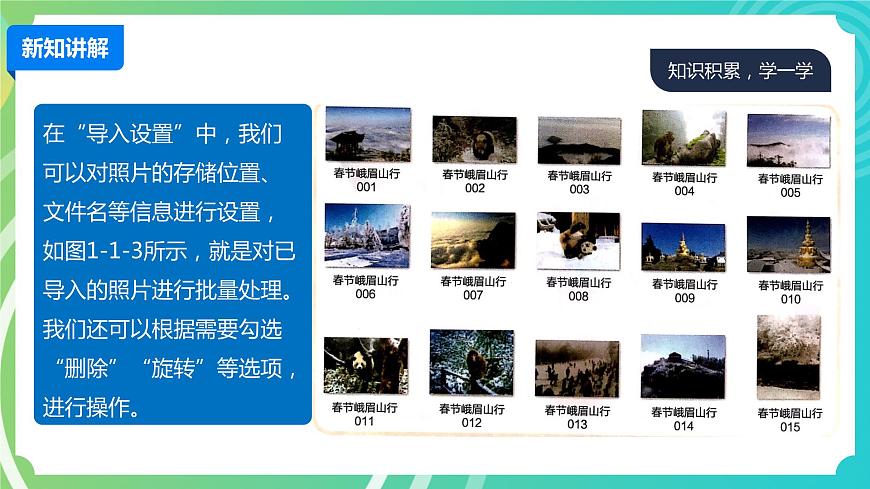 川教版四年級下冊信息技術1.1《處理照片》PPT課件第7頁