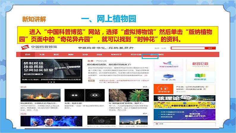 浙摄影版三年级下册信息技术第15课 网络摘记 课件PPT05