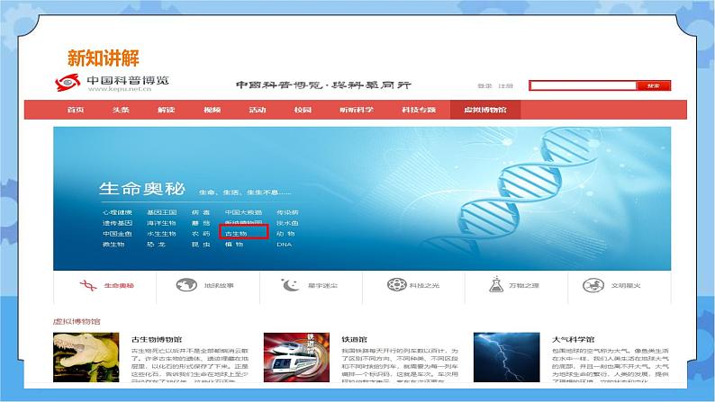 浙摄影版三年级下册信息技术第15课 网络摘记 课件PPT06