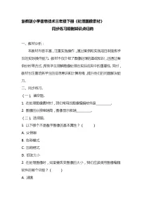 信息技术浙教版（2023）第二单元 创作数字作品第7课 处理图像素材课后测评
