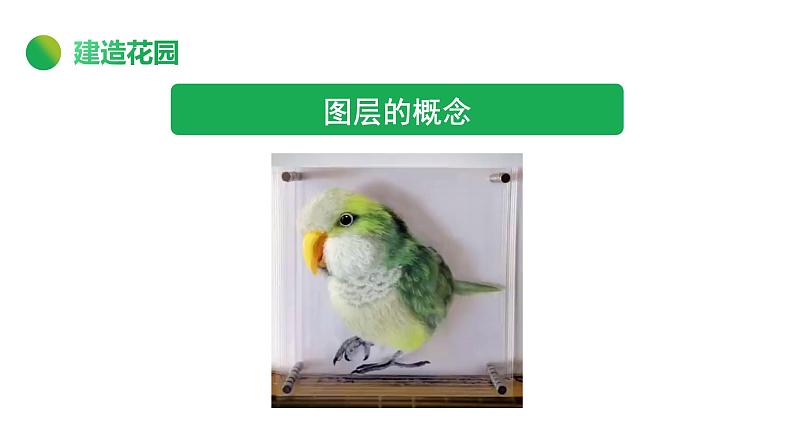 桂科版小学信息技术六年级下册 主题二 任务一 蝶弄花间伴春舞 课件05