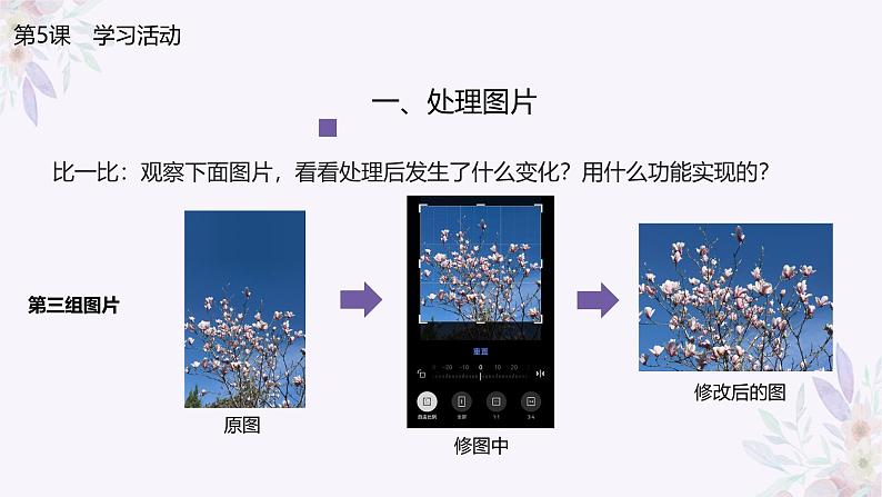 义务教育版(2024)三年级全一册第5课《美化处理图片》ppt课件第8页
