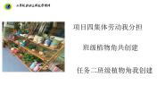 小学劳技浙教版二年级上册任务二 班级植物角我创建优质课课件ppt