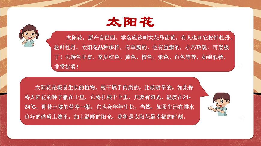 小學(xué)勞動(dòng)教育 二年級(jí)下冊(cè) 活動(dòng)《一起來種太陽花》（第一課時(shí)）課件第4頁