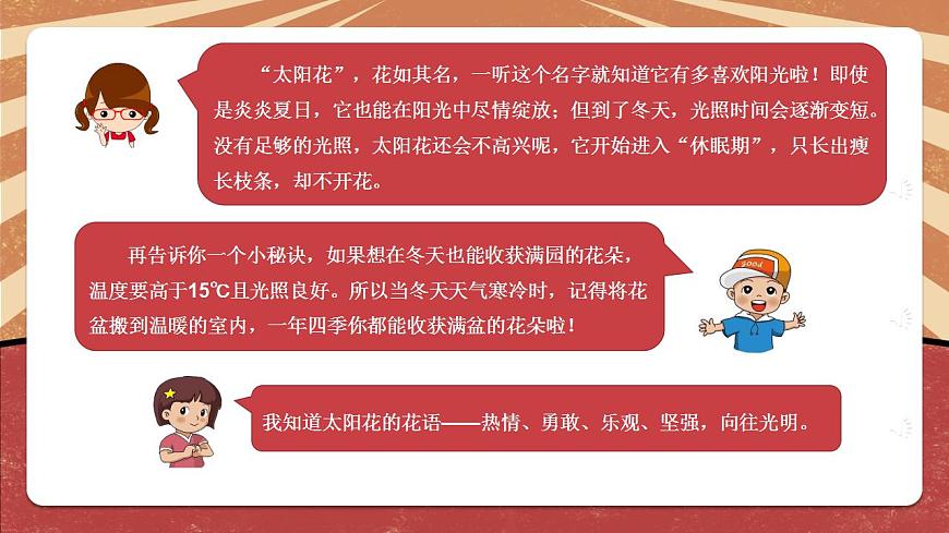 小學(xué)勞動(dòng)教育 二年級(jí)下冊(cè) 活動(dòng)《一起來種太陽花》（第一課時(shí)）課件第5頁