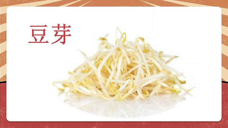 小学劳动教育 二年级下册 活动《豆芽种植我在行》(第一课时) 课件03