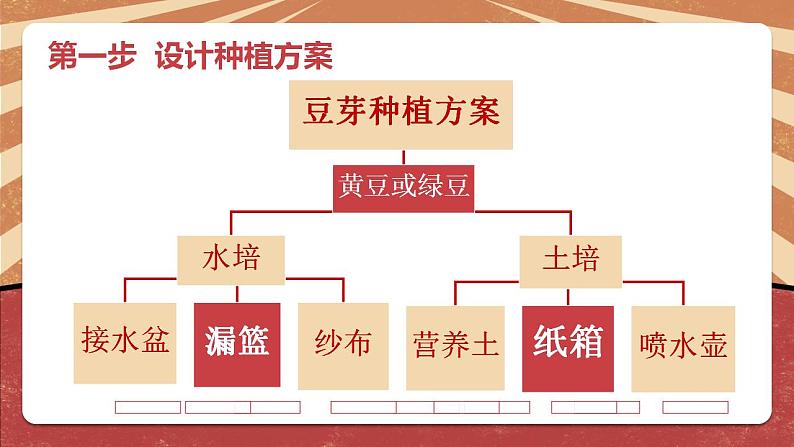 小学劳动教育 二年级下册 活动《豆芽种植我在行》(第一课时) 课件07