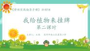 北师大版四年级活动14 我给植物来挂牌教学课件ppt