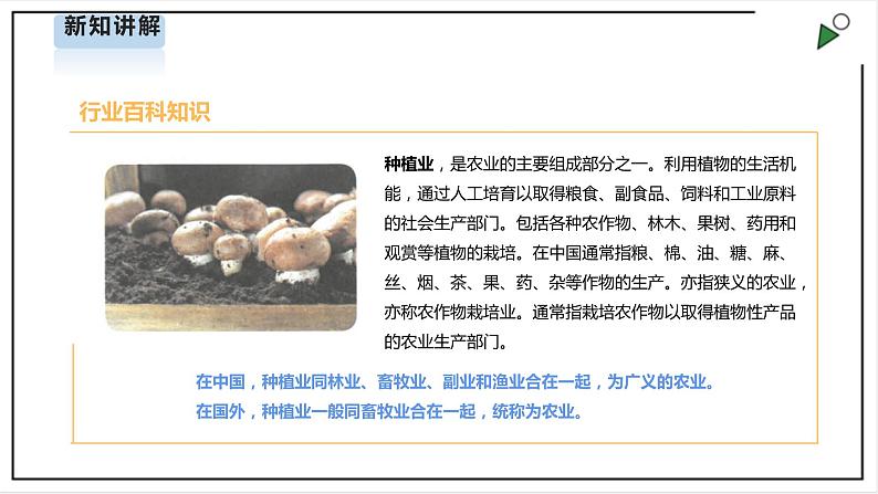浙教版】五年级上册《劳动》项目四 任务二《家乡行业我了解》课件第6页
