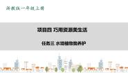 2021学年任务三 水培植物我养护课堂教学ppt课件