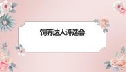 劳技四年级展示台   饲养达人评选会图片课件ppt